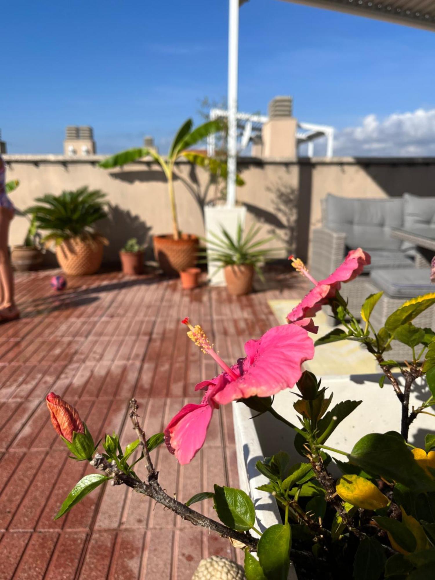 La azotea Apartment Cambrils Exterior foto